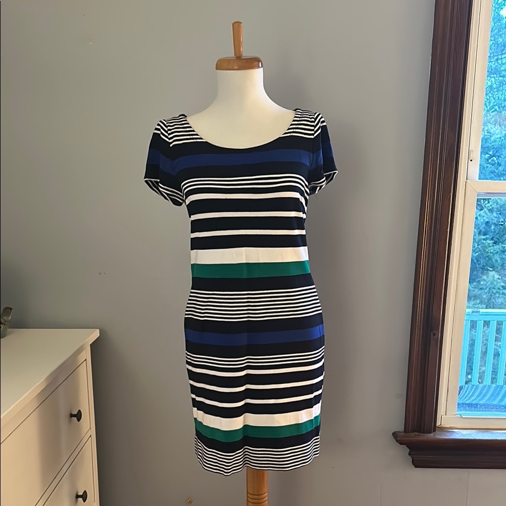 Banana Republic Striped Navy and Green Dress